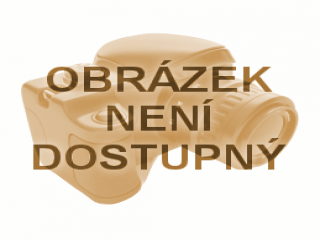 Kniha PRIMKY